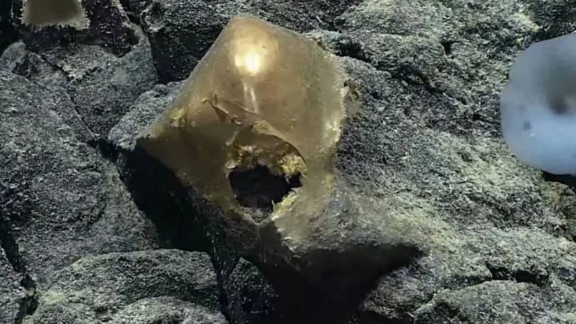 Okyanusun dibinde esrarengiz altın küre bulundu! Uzaylılara mı ait? Bilim dünyası şokta 4
